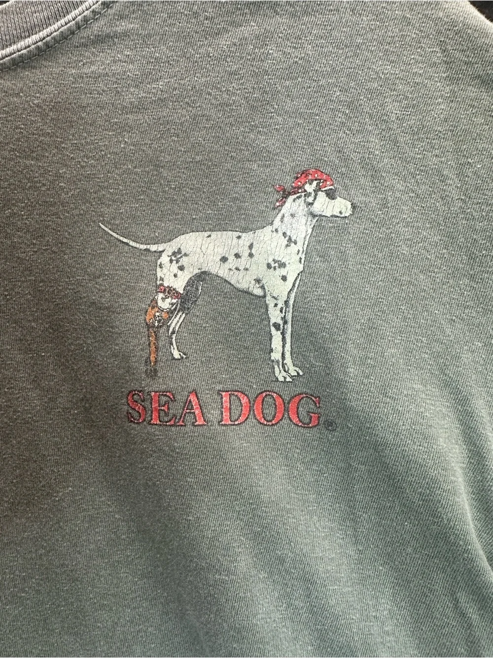 Sea Dog Comfort Colors T Shirt Mens Large Pirate Skull Graphic Ocean City MD